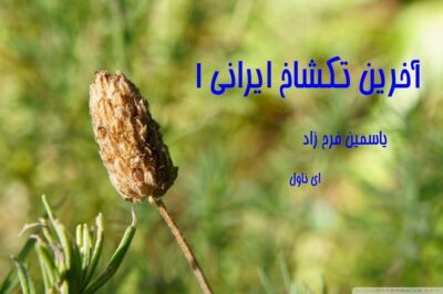 دانلود pdf رمان آخرین تکشاخ ایرانی ۱ از یاسمن فرح زاد