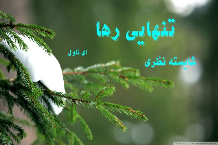 دانلود pdf رمان تنهایی رها از شایسته نظری