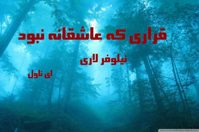 دانلود pdf رمان قراری که عاشقانه نبود از نیلوفر لاری