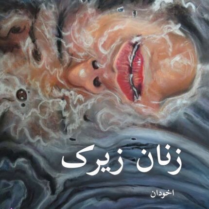 دانلود رمان زنان زیرک pdf |اثر شری آرگو