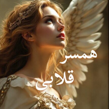 دانلود رمان همسر قلابی pdf |اثر stacey lynn